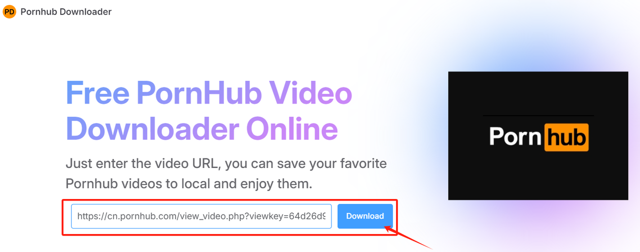 Paste the URL into the Pornhub Converter